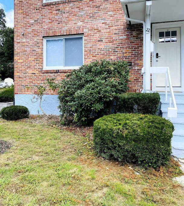 Cozy Boston Getaway Apartment! Free Parking Dış mekan fotoğraf